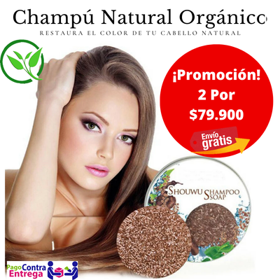 SHAMPOO REPARADOR NATURAL ORGÁNICO