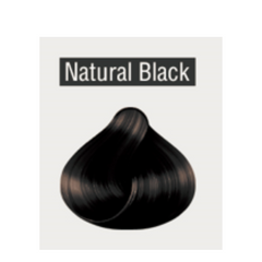 Shampoo Tinte Instantaneo Natural IVS Tono NEGRO